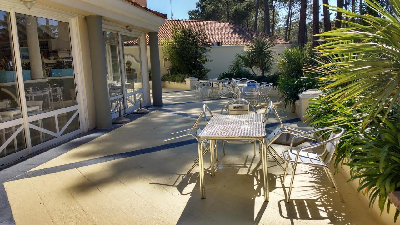 Garden View 2 Dormitorios Con Jardin Y Parrillero Hasta 7 Personas 埃斯特角城 外观 照片
